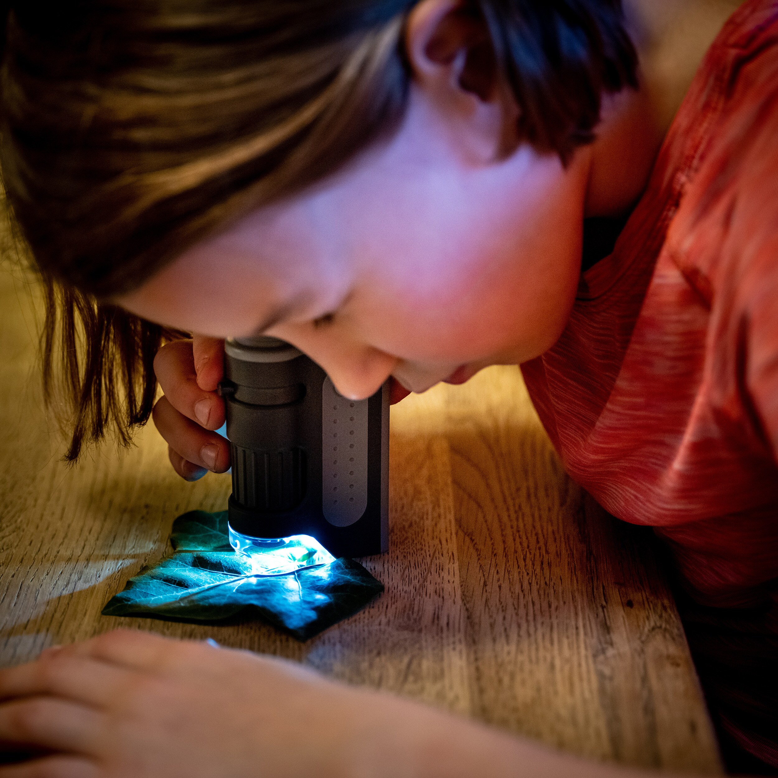 Microscope de poche MicroBrite Plus 60-120x Carson