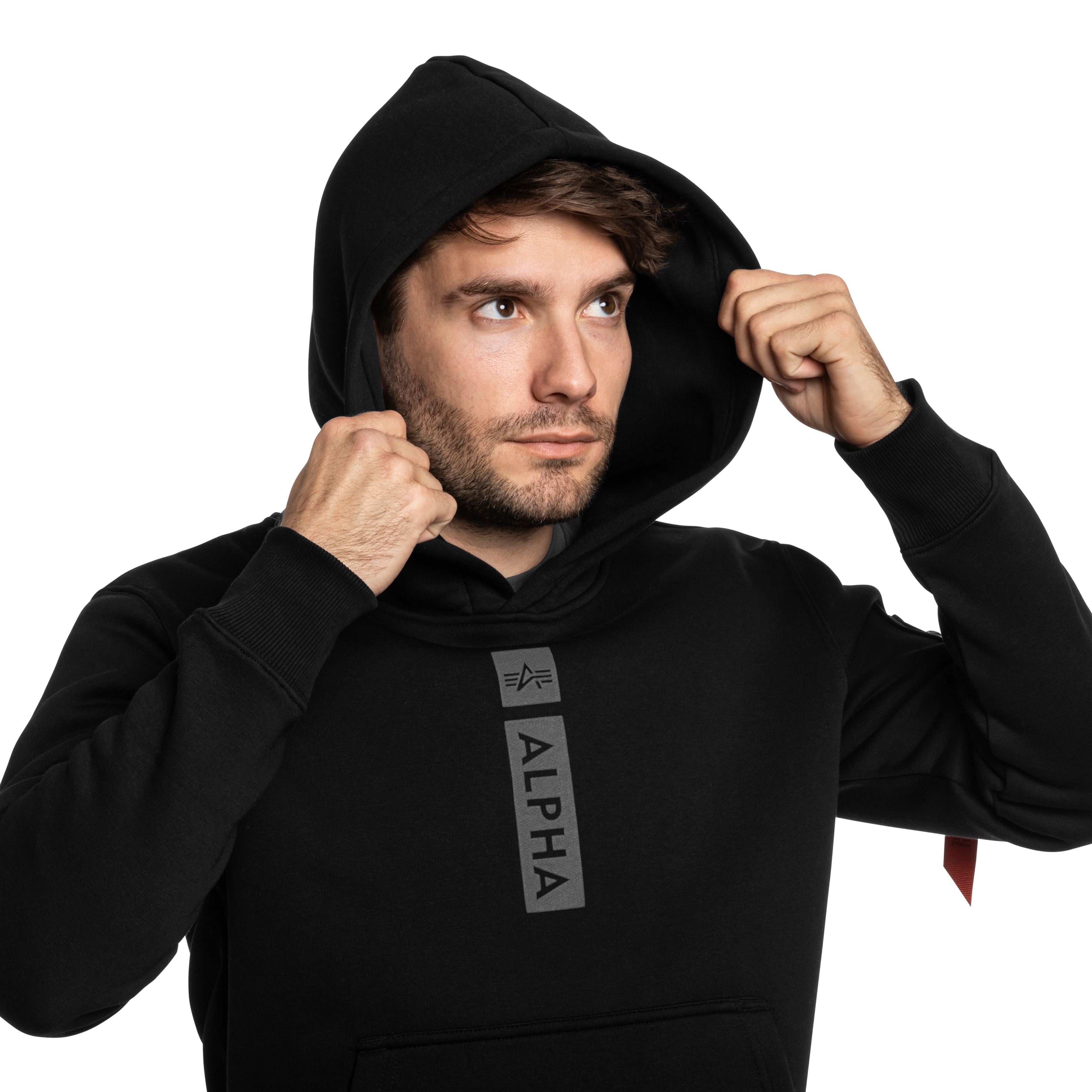 Sweatshirt Alpha Puff Print Hoodie Alpha Industries  - Black