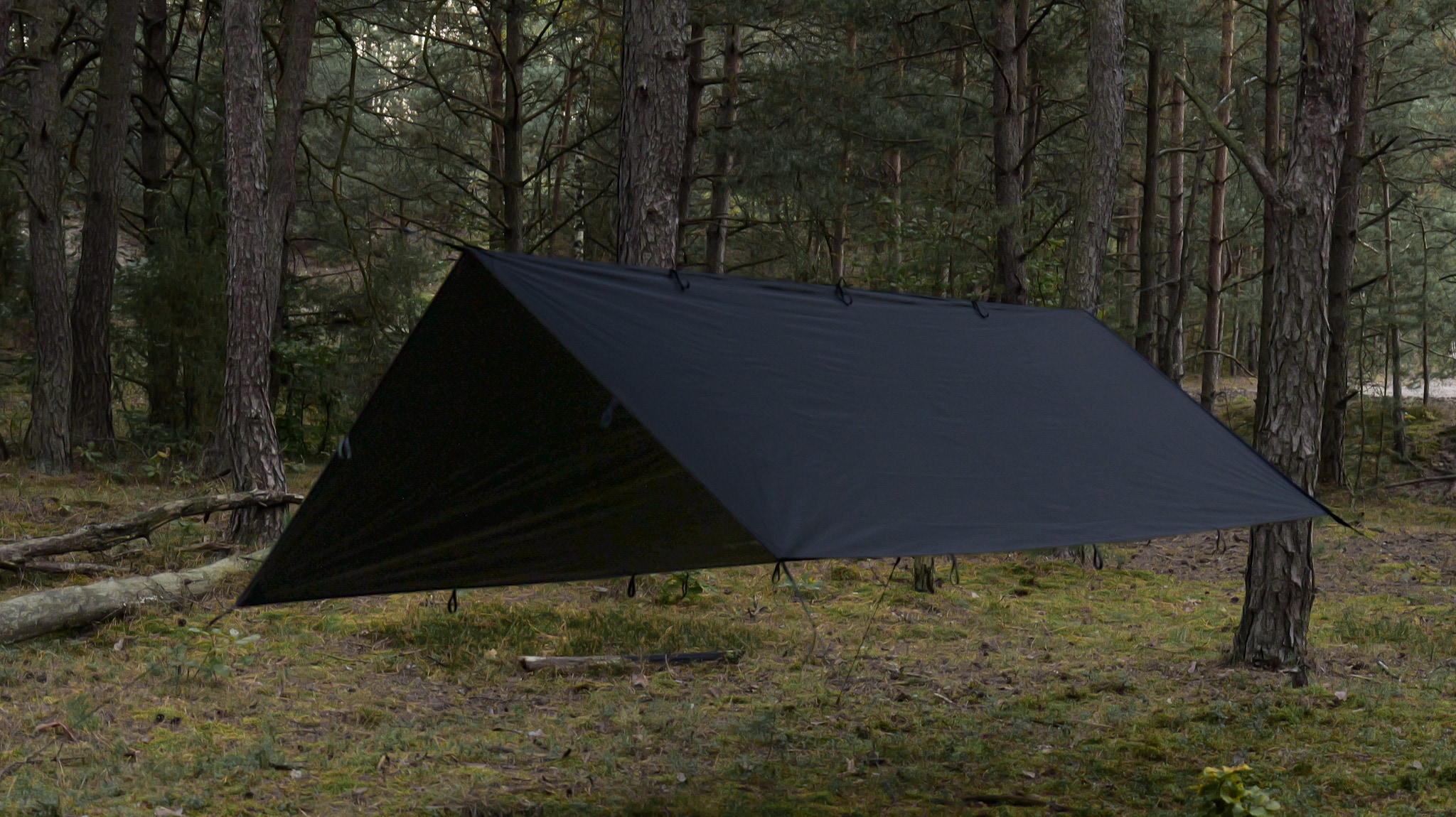 Bâche de bivouac Tarp T2 3 x 2 m TigerWood - Black