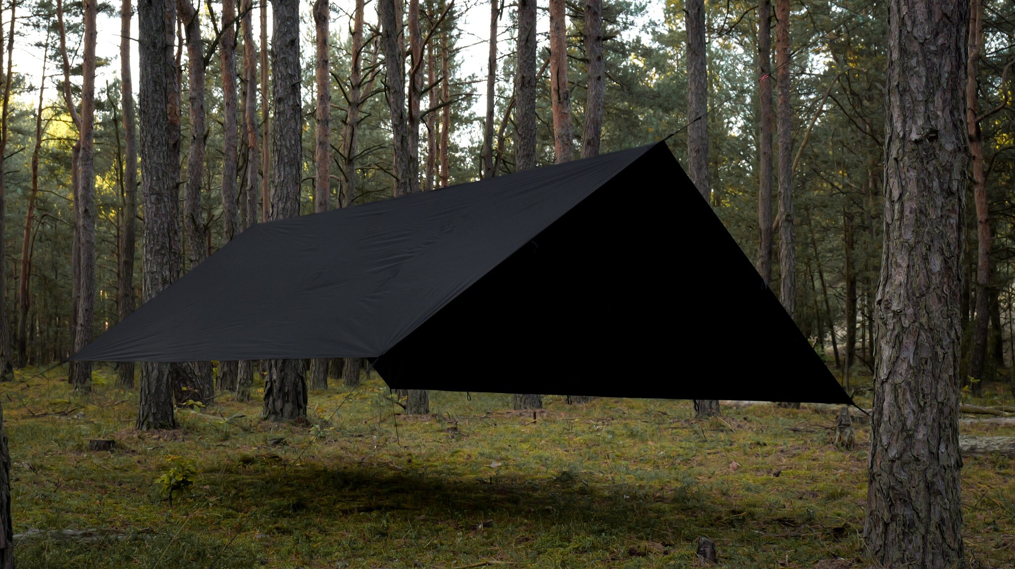 Bâche de bivouac Tarp T2 3 x 3 m TigerWood - Black