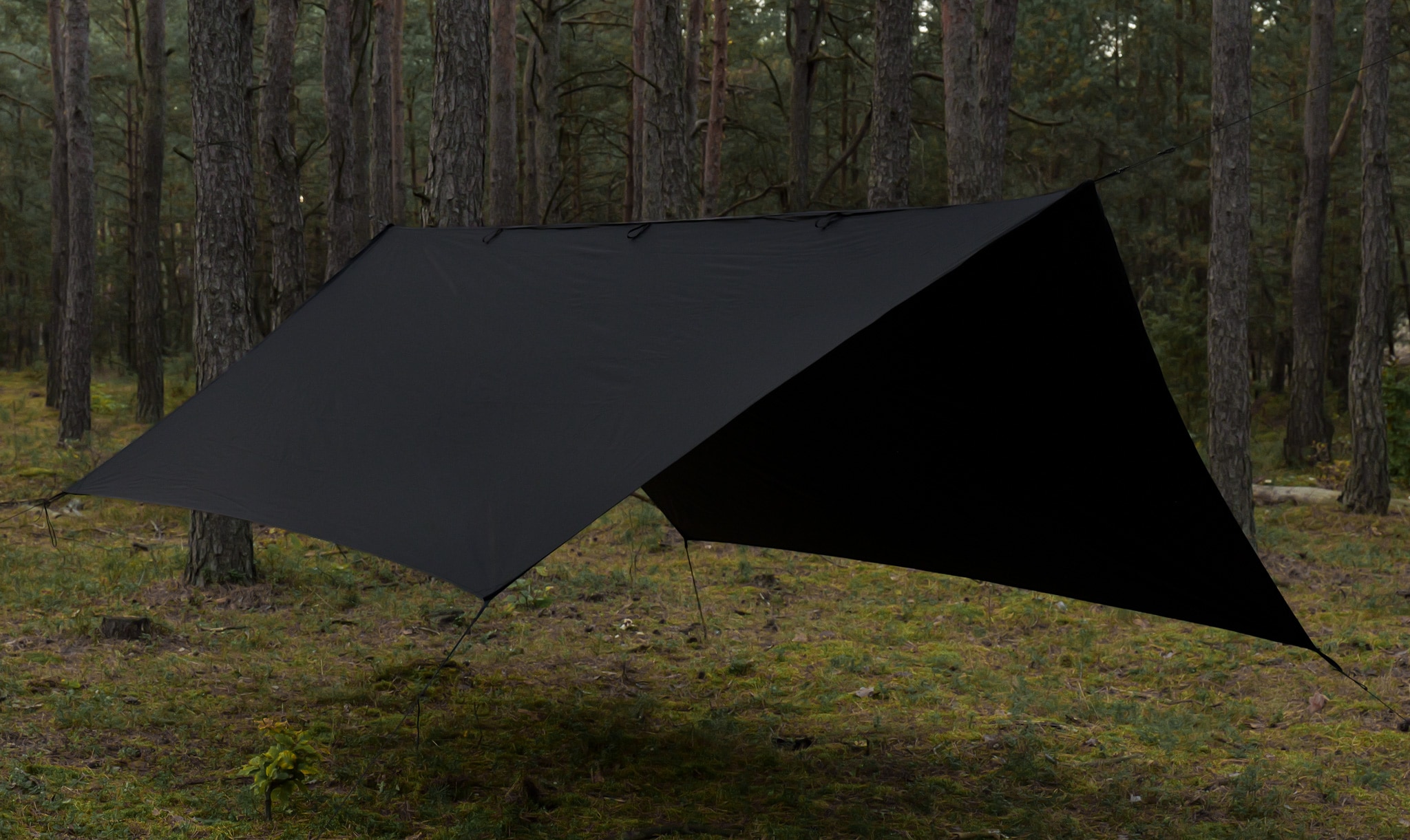 Bâche de bivouac Termo Tarp T2 StingRay 3,6 x 2,8 m TigerWood - Black