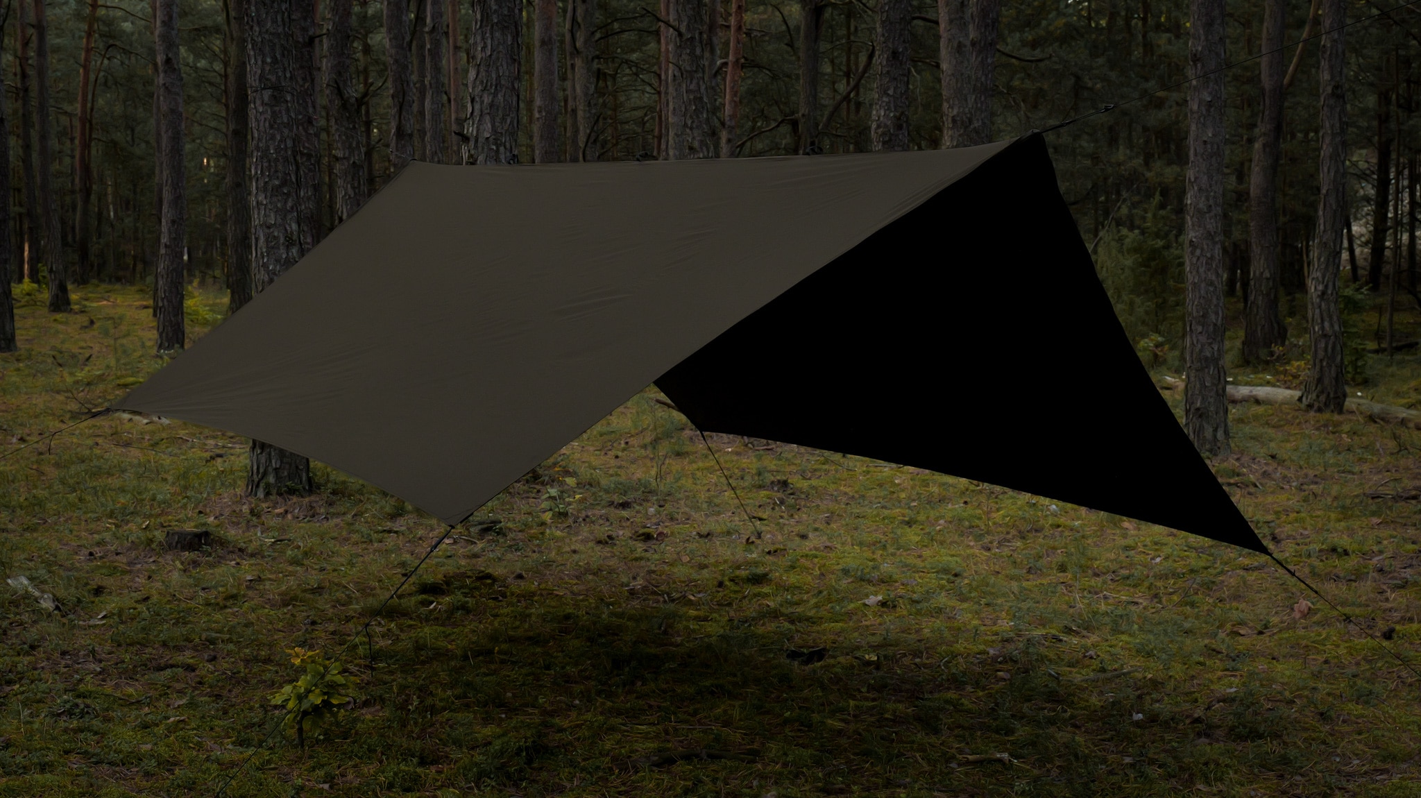 Bâche de bivouac Termo Tarp T2 StingRay 3,6 x 2,8 m TigerWood - Dark Khaki