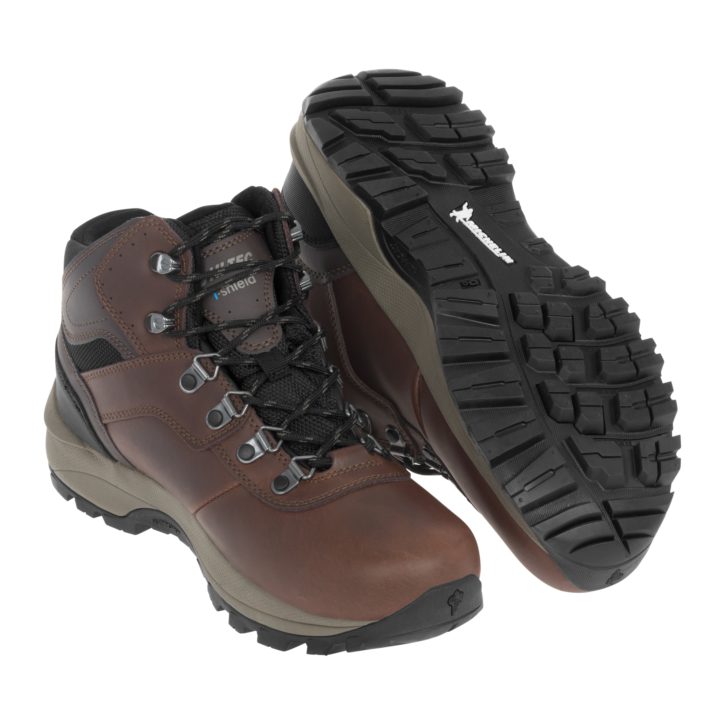 Chaussures Altitude VI I WP Hi-Tec - Brown