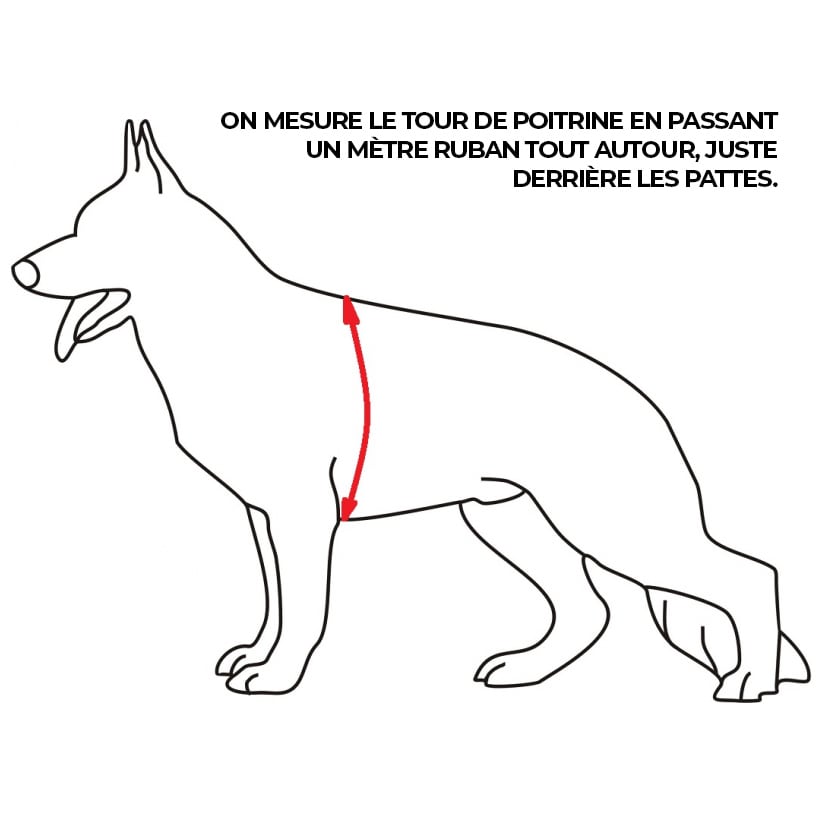 Harnais pour chien Charlie K9 Thorn - Coyote