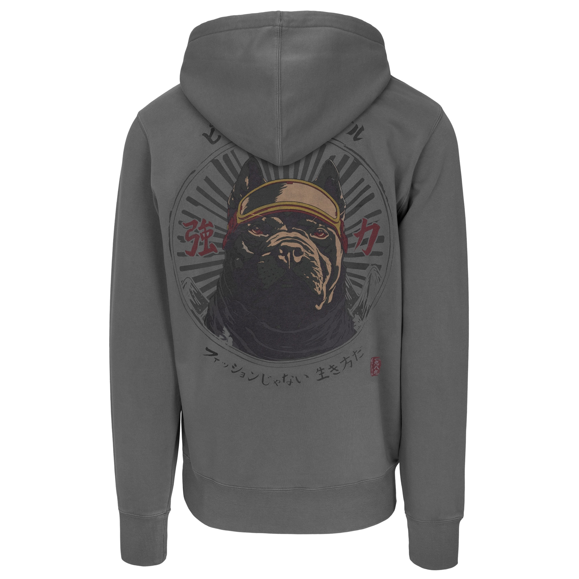 Sweat à capuche Washed MT Fuji Hooded Pitbull - Grey