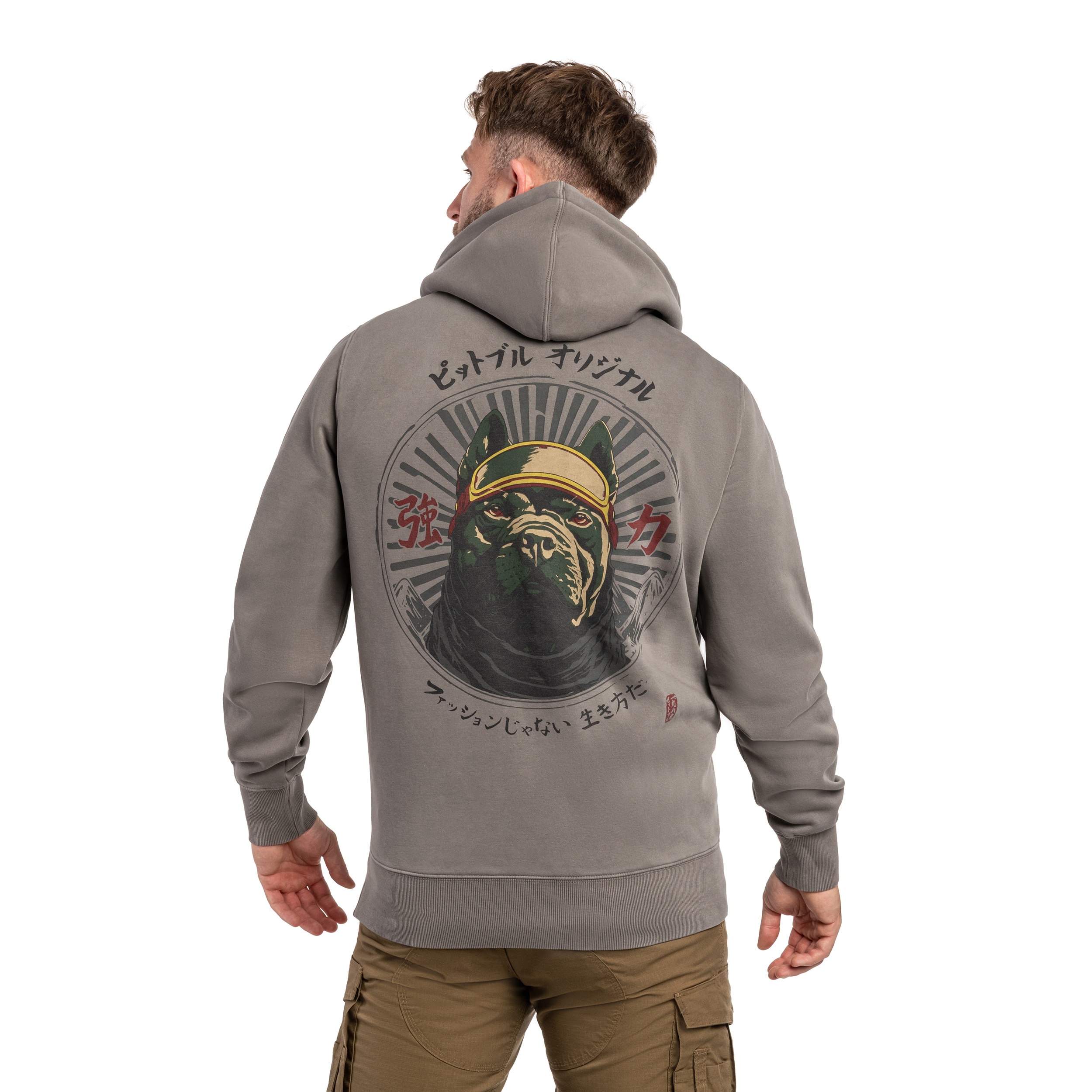 Sweat à capuche Washed MT Fuji Hooded Pitbull - Grey