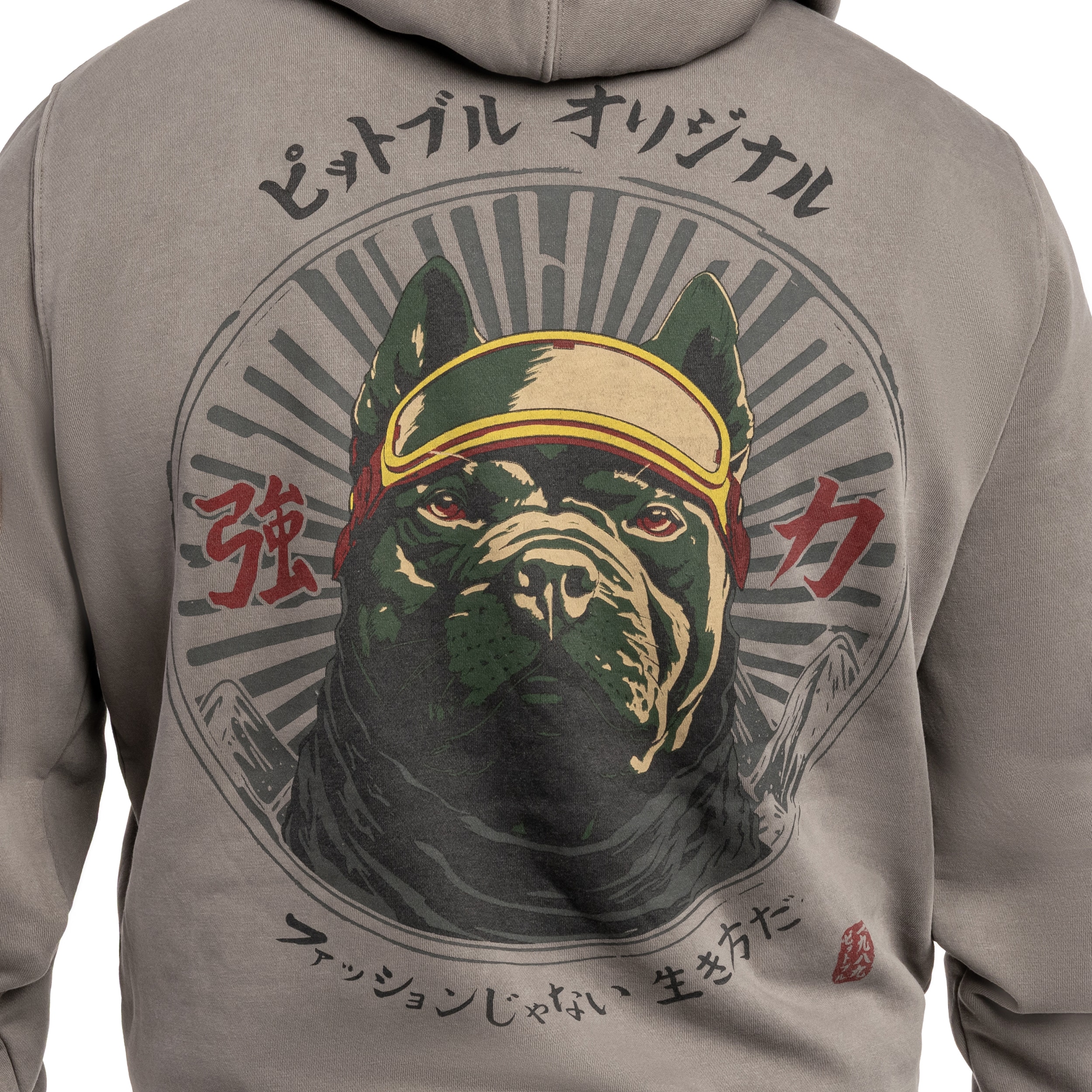 Sweat à capuche Washed MT Fuji Hooded Pitbull - Grey