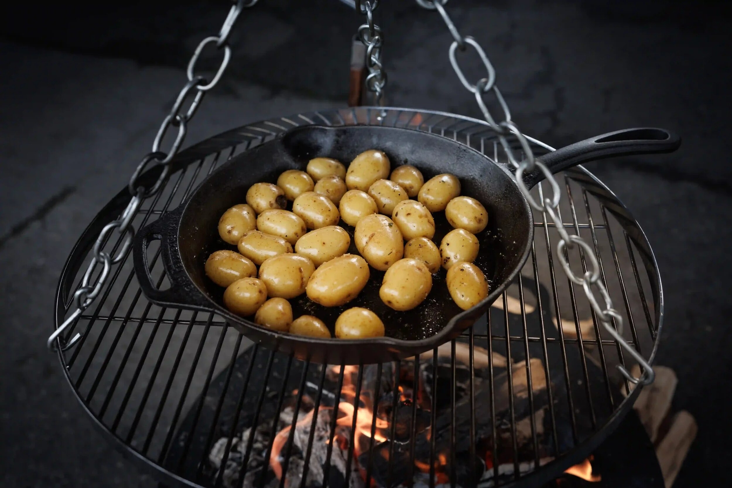 Poêle en fonte Grill Fire Petromax 30 cm - Black
