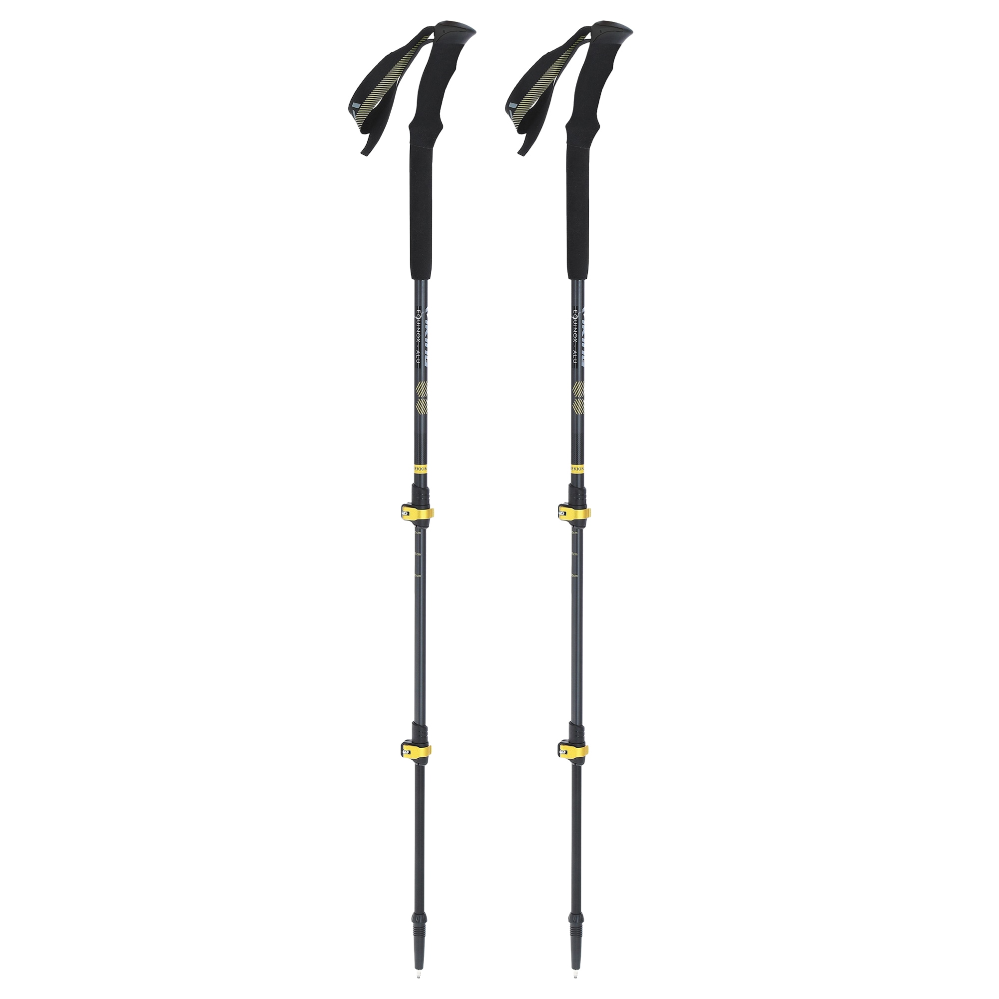 bâtons de trekking Viking Equinox Trekking