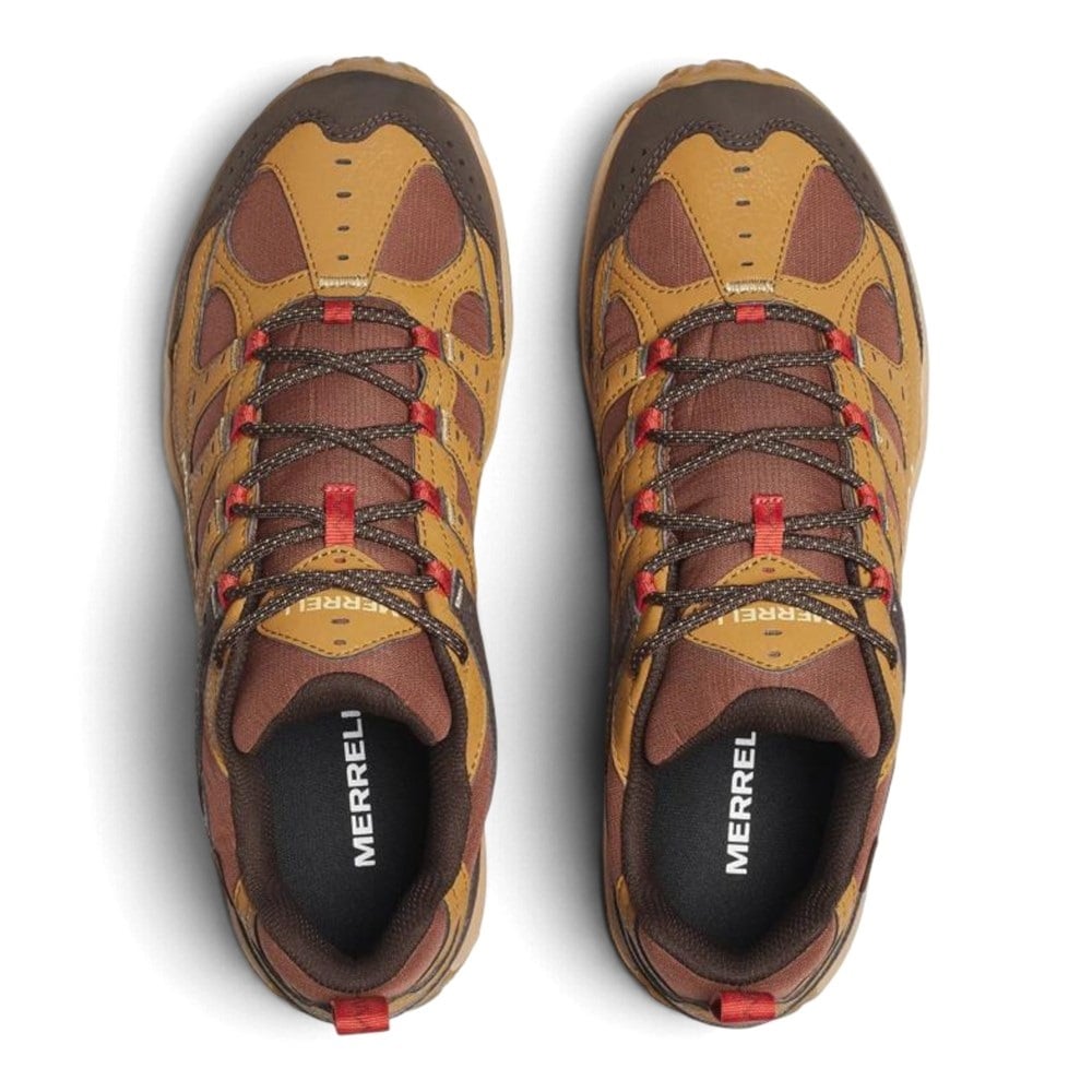Chaussures Accentor 4 GTX Merrell - Cabin