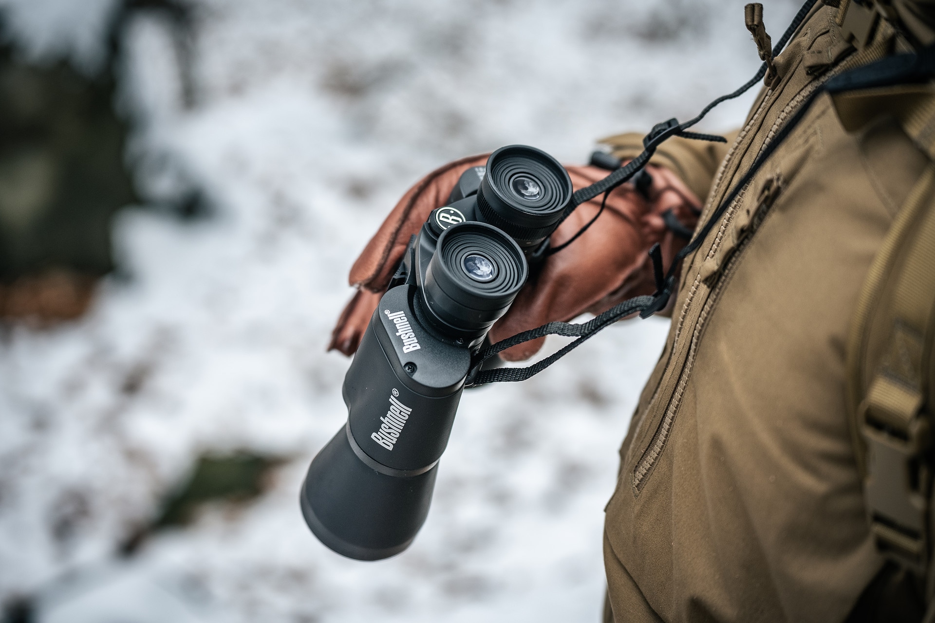 Jumelles Falcon 10x50 Bushnell