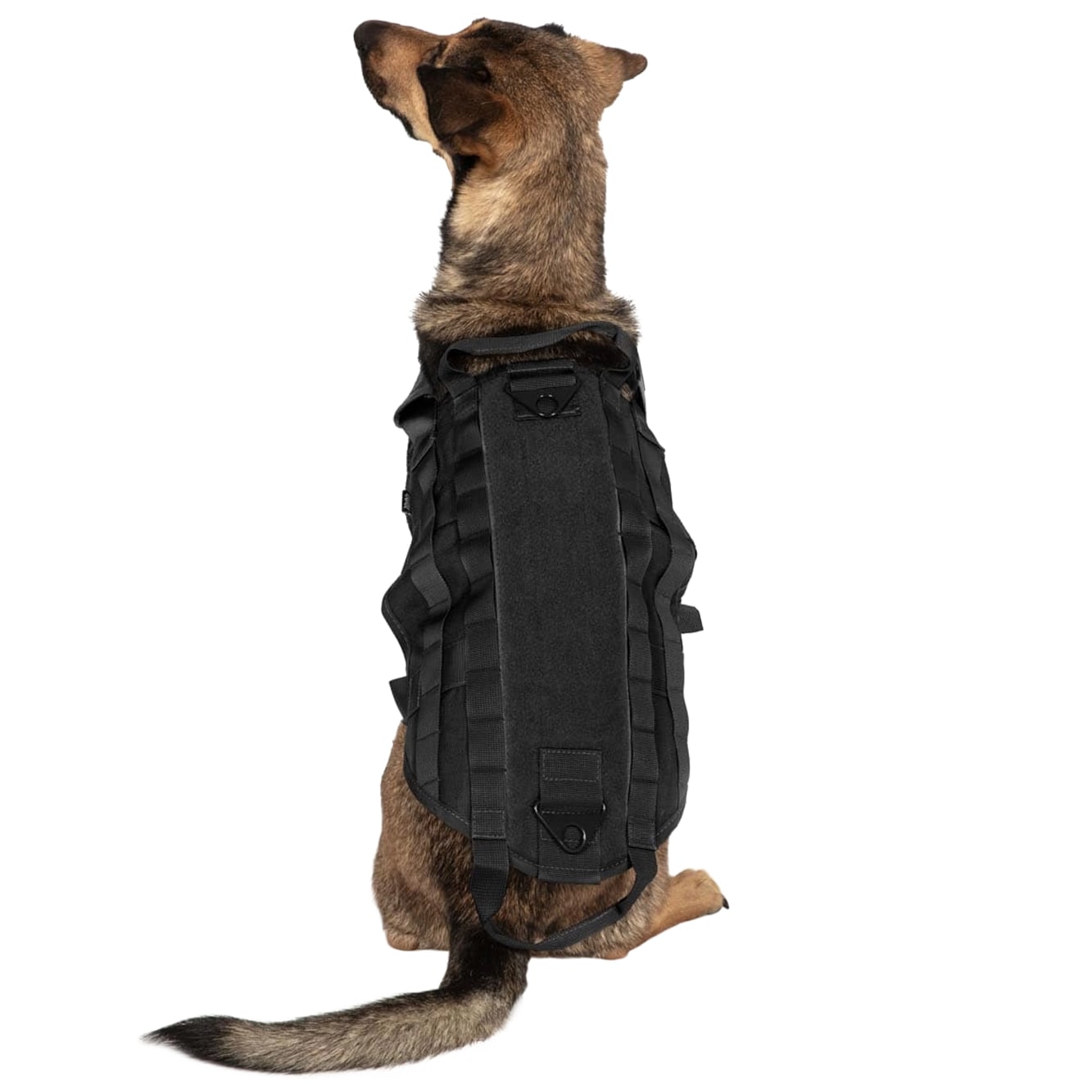 Gilet tactique pour chien Primal Gear - Black
