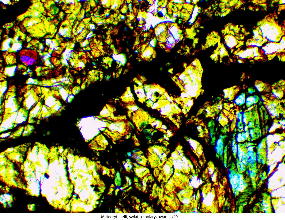 Microscope Genetic Pro Mono  à batterie rechargeable Delta Optical