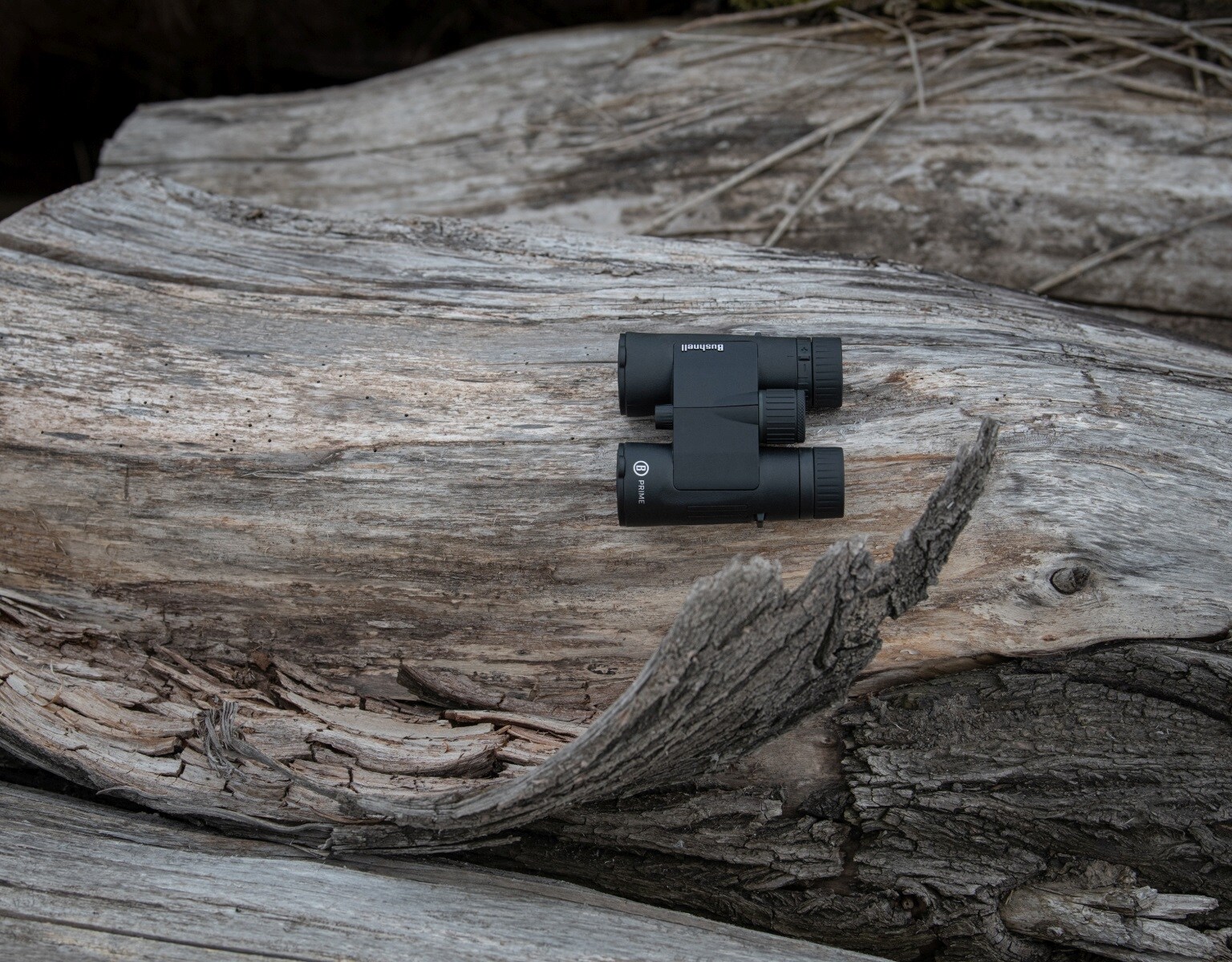 Jumelles Prime 8x42 Roof Bushnell
