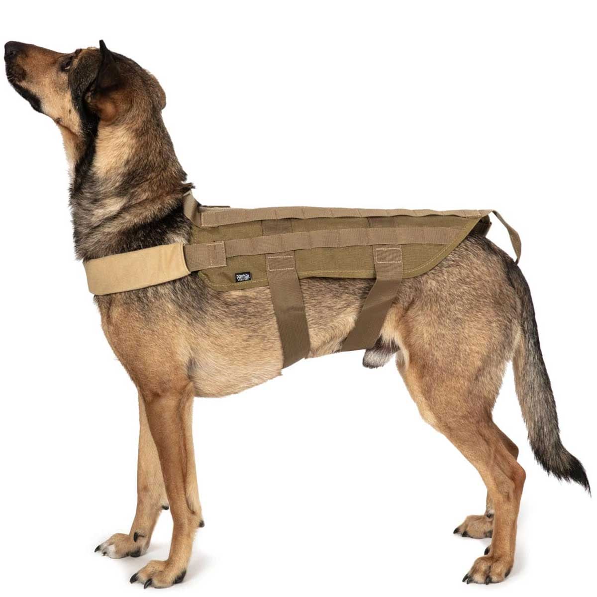 Gilet tactique pour chien Primal Gear - Tan
