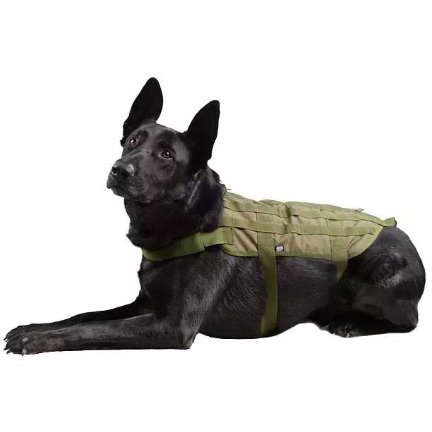 Gilet tactique Primal Gear pour chien - Olive