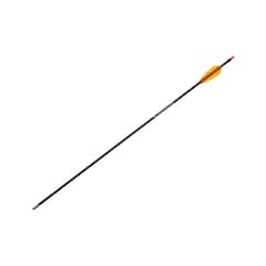 Flèche en fibre de carbone 26" Poe Lang - Black