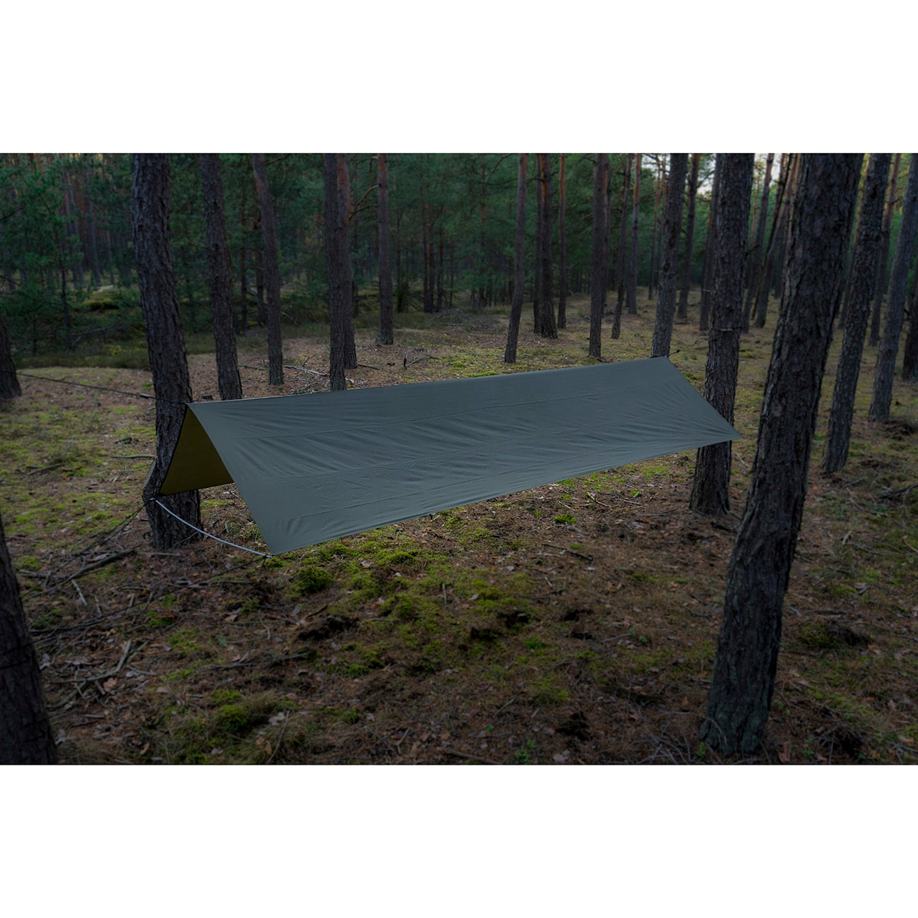 Bâche de bivouac Tarp Żak TigerWood 