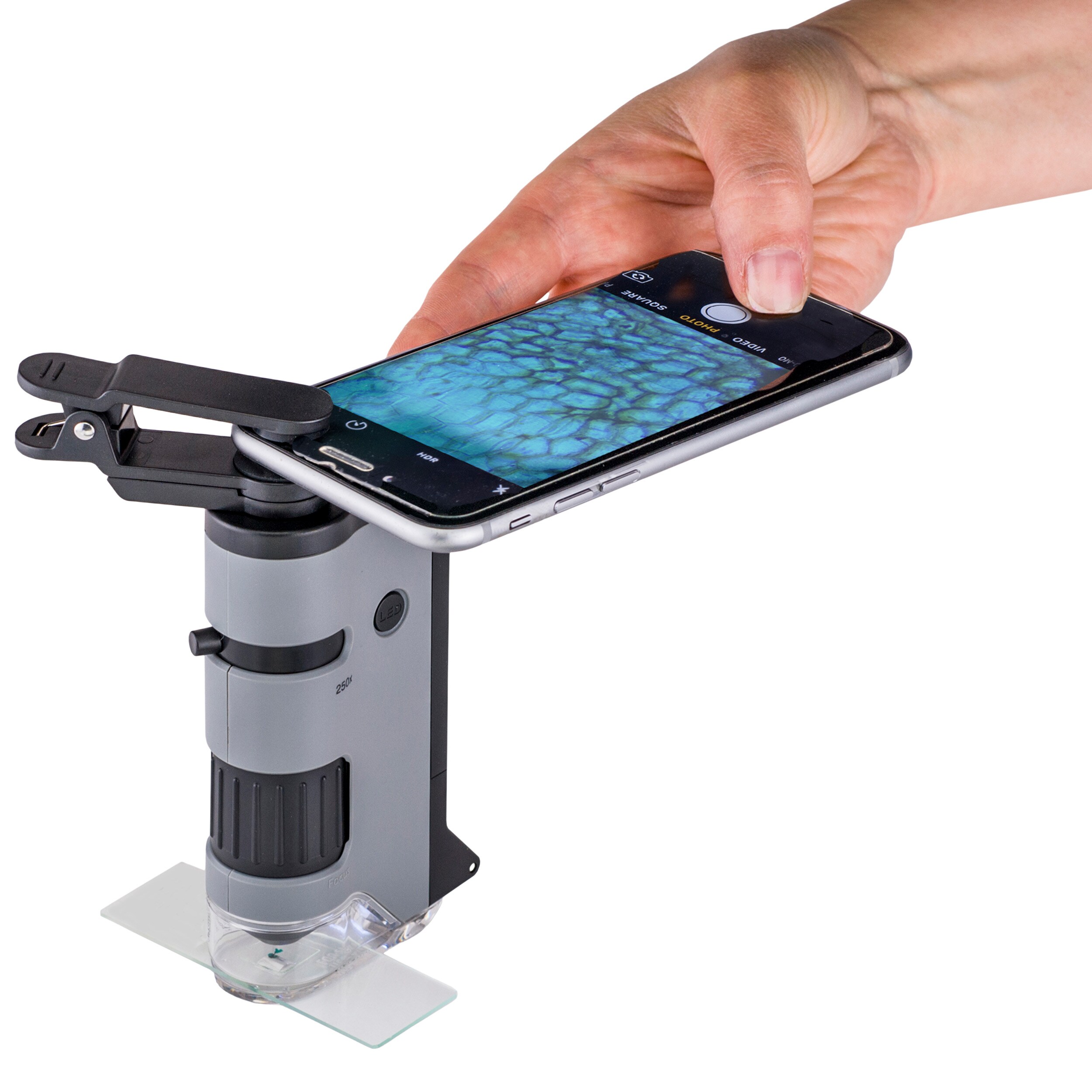 Microscope Microflip LED 100-250x Carson