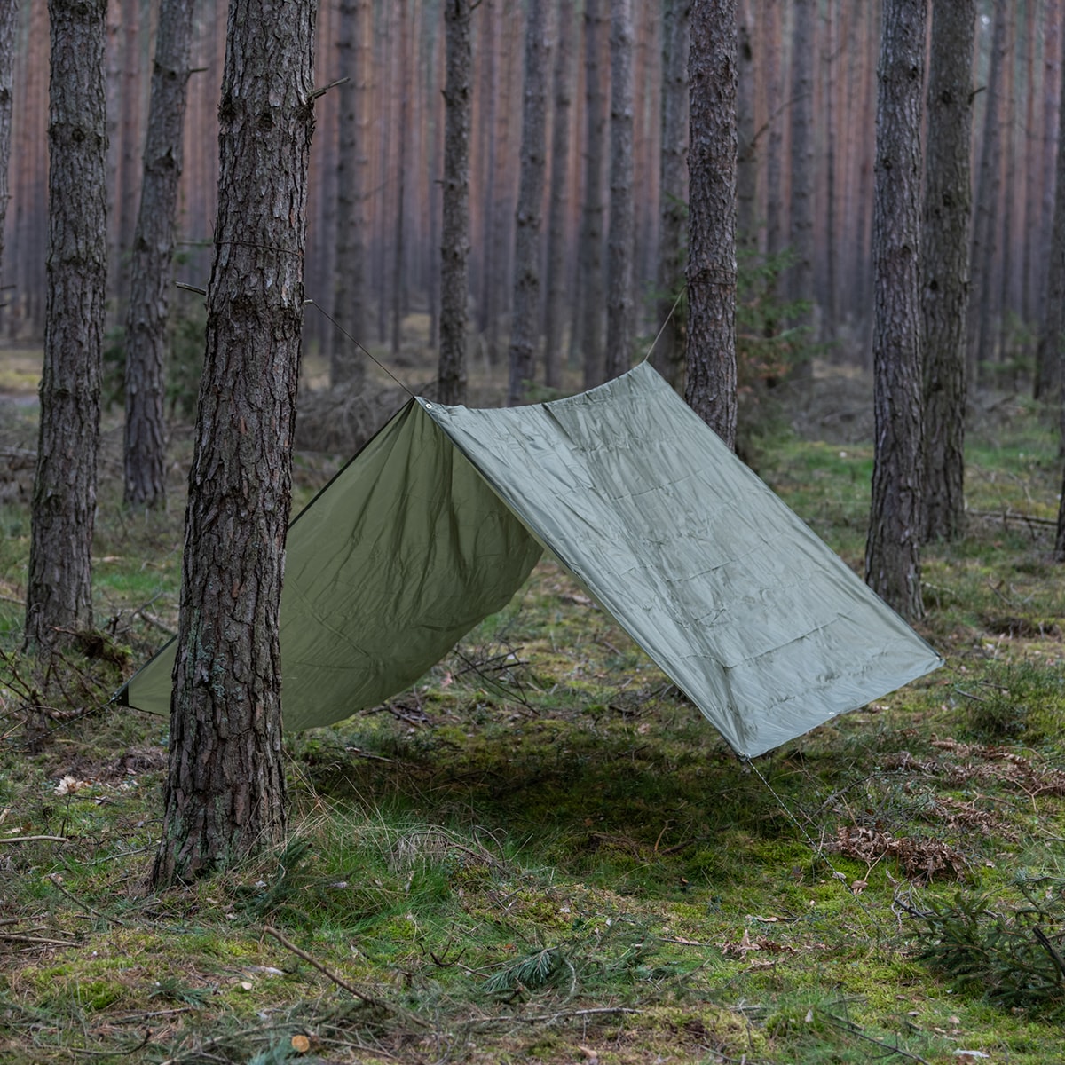 Bâche de bivouac Tarp 3x3 MFH - Olive