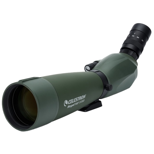 Longue vue d'observastion Regal M2 80ED 20-60x80 Celestron 