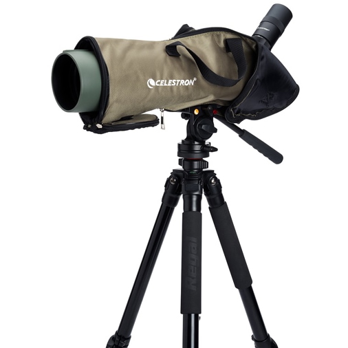 Longue vue d'observastion Regal M2 80ED 20-60x80 Celestron 