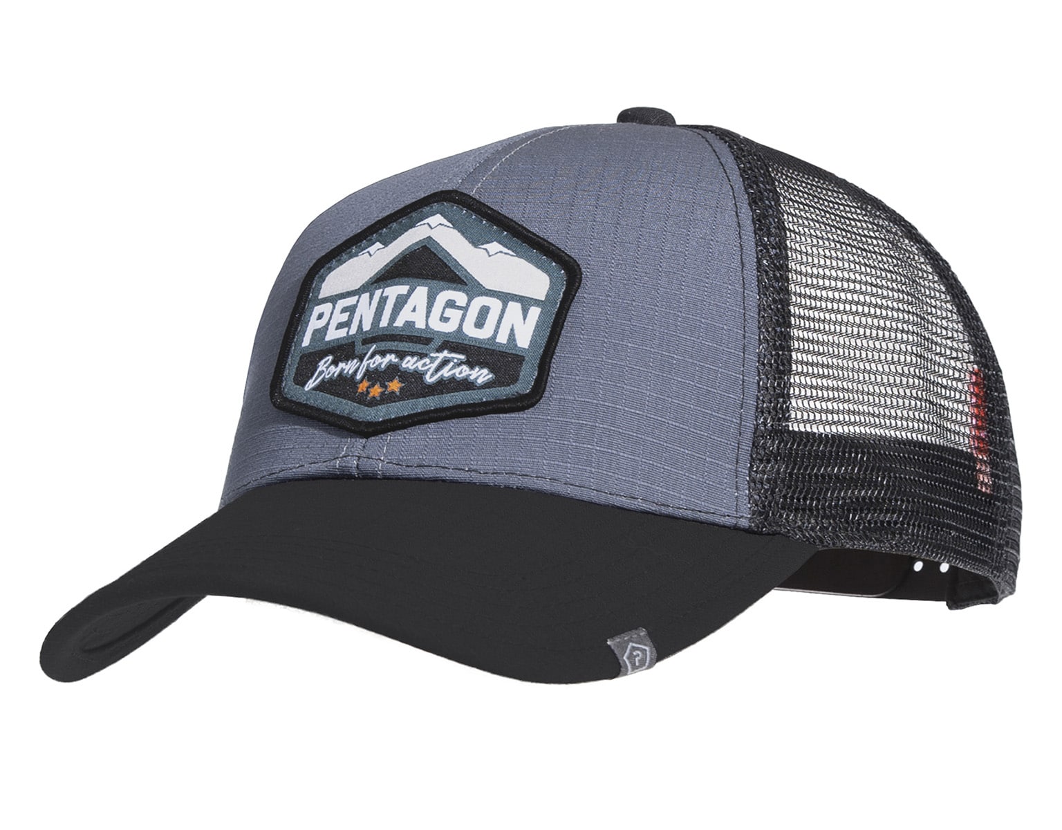 Casquette Era Born for action Pentagon - Wolf Grey