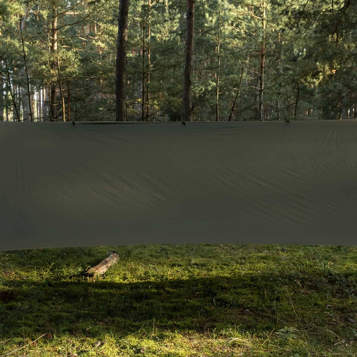 TigerWood Termo Tarp StingRay túraponyva 3,6 x 2,8 m - Olive