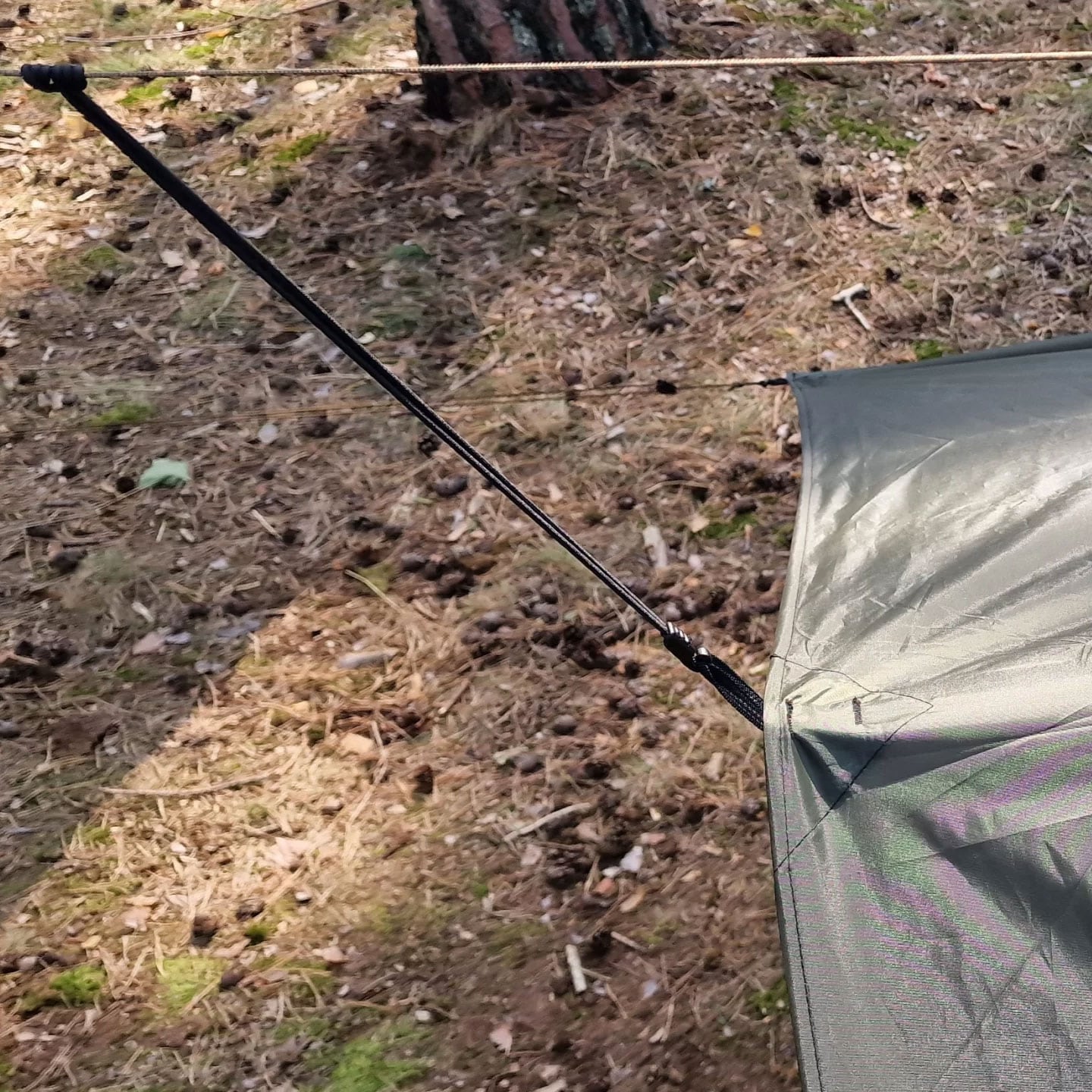 Bushmen Easy Tarp túraponyva 3 x 3 m - Green
