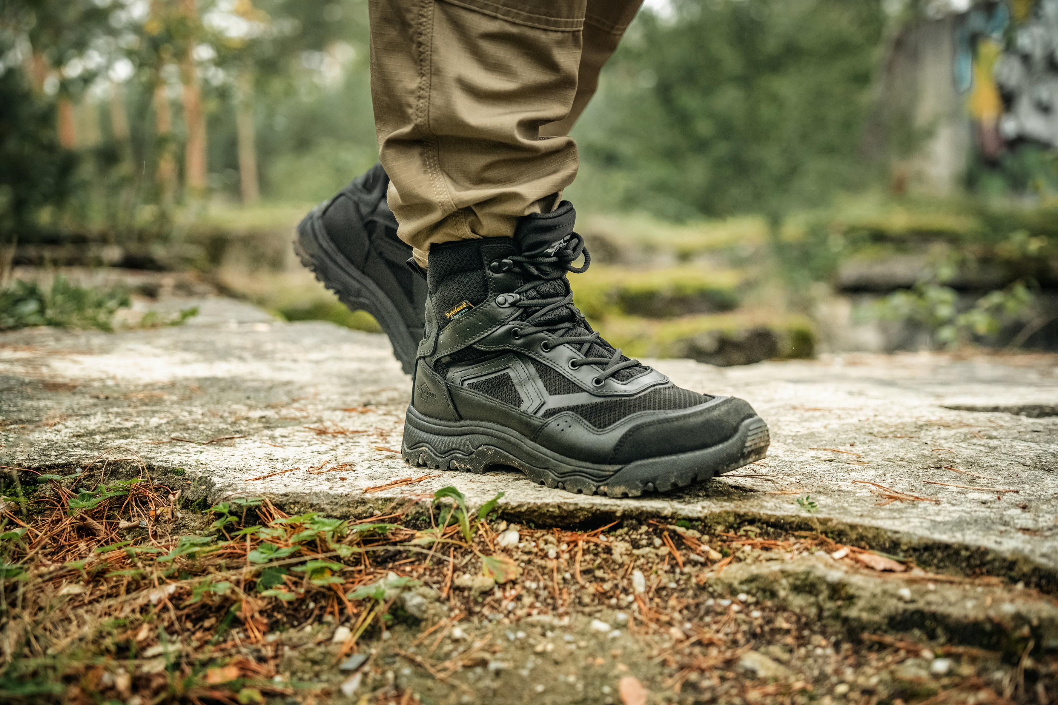 Pentagon Scorpion V2 6