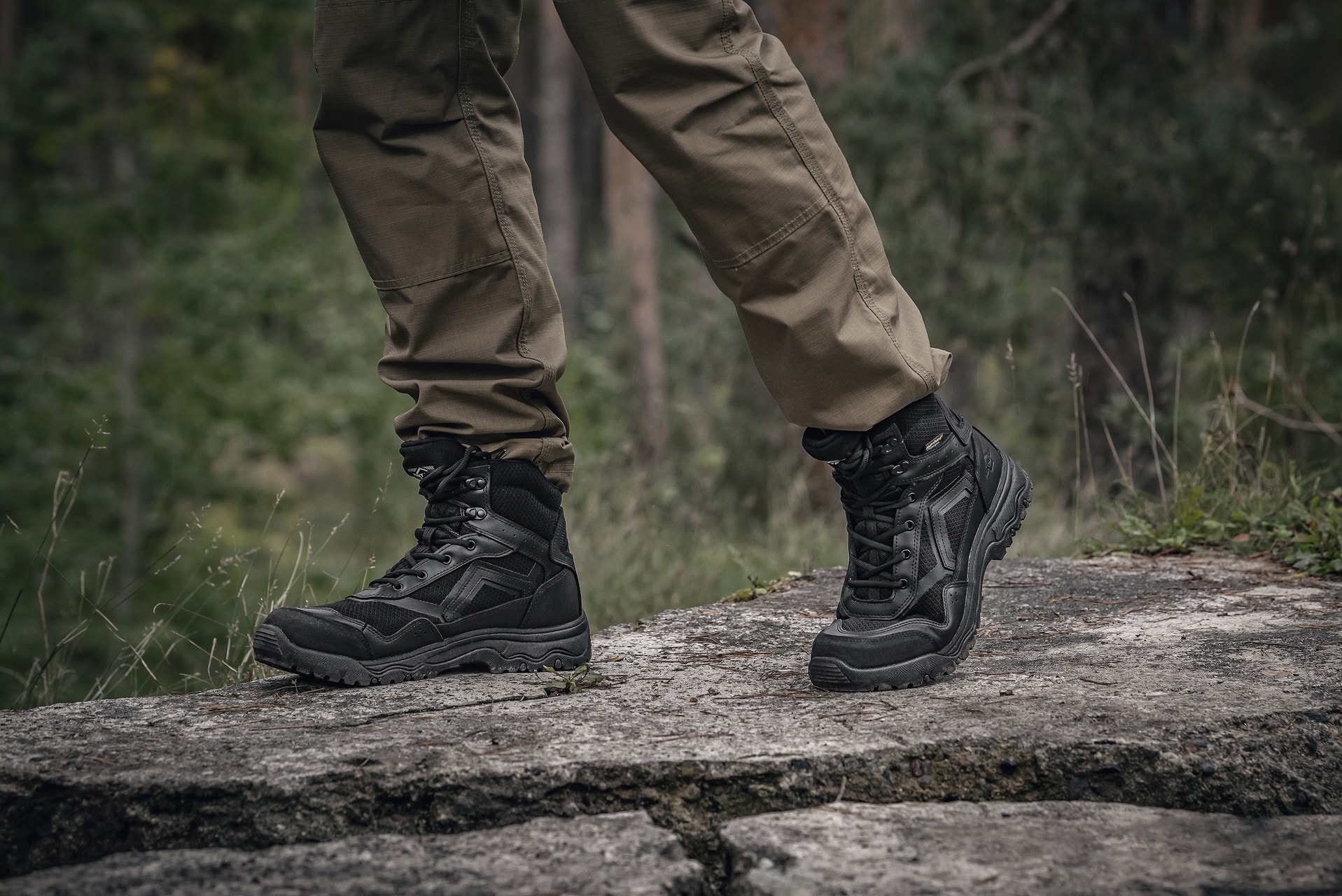 Pentagon Scorpion V2 6