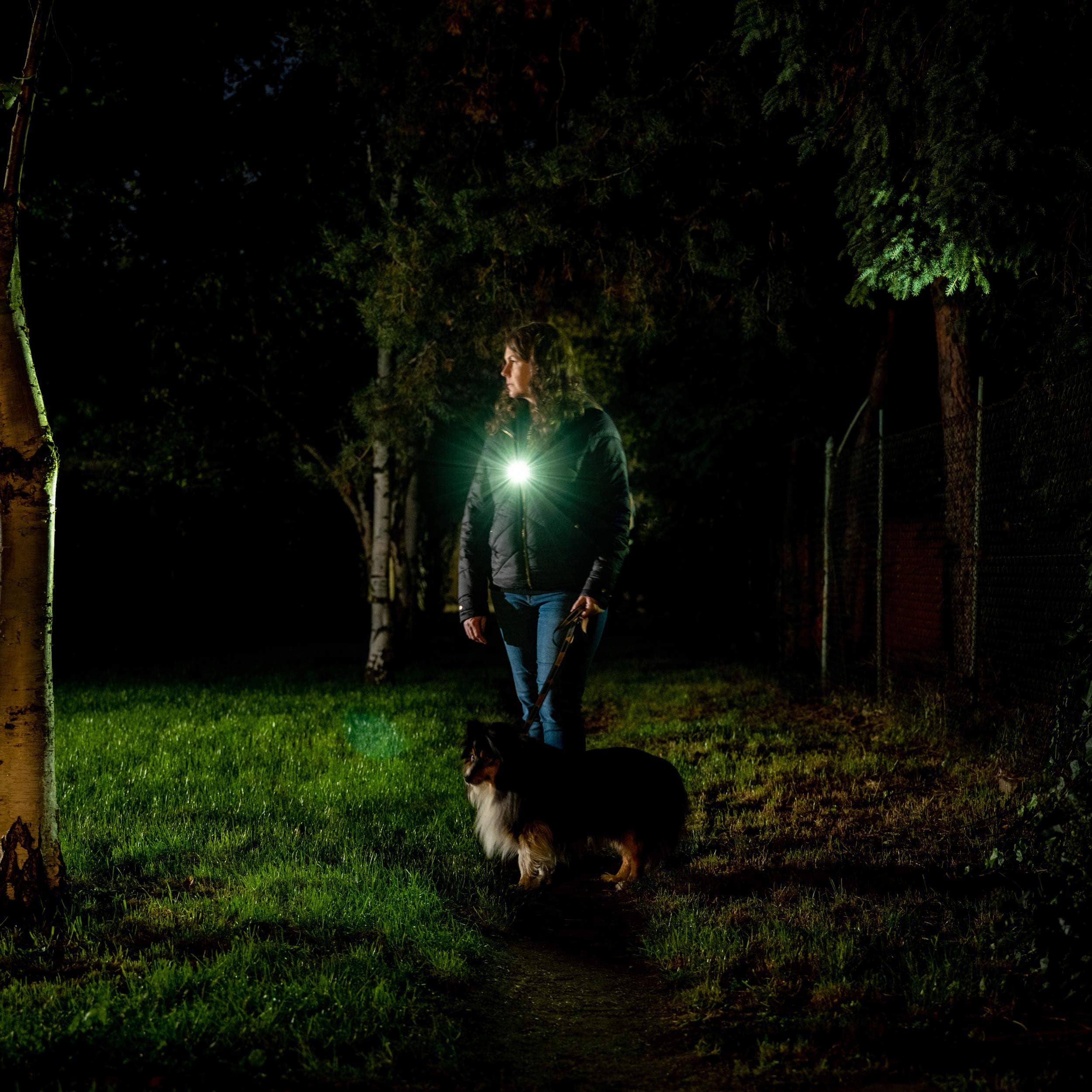 Olight Oclip Pro újratölthető zseblámpa - 500 lumen