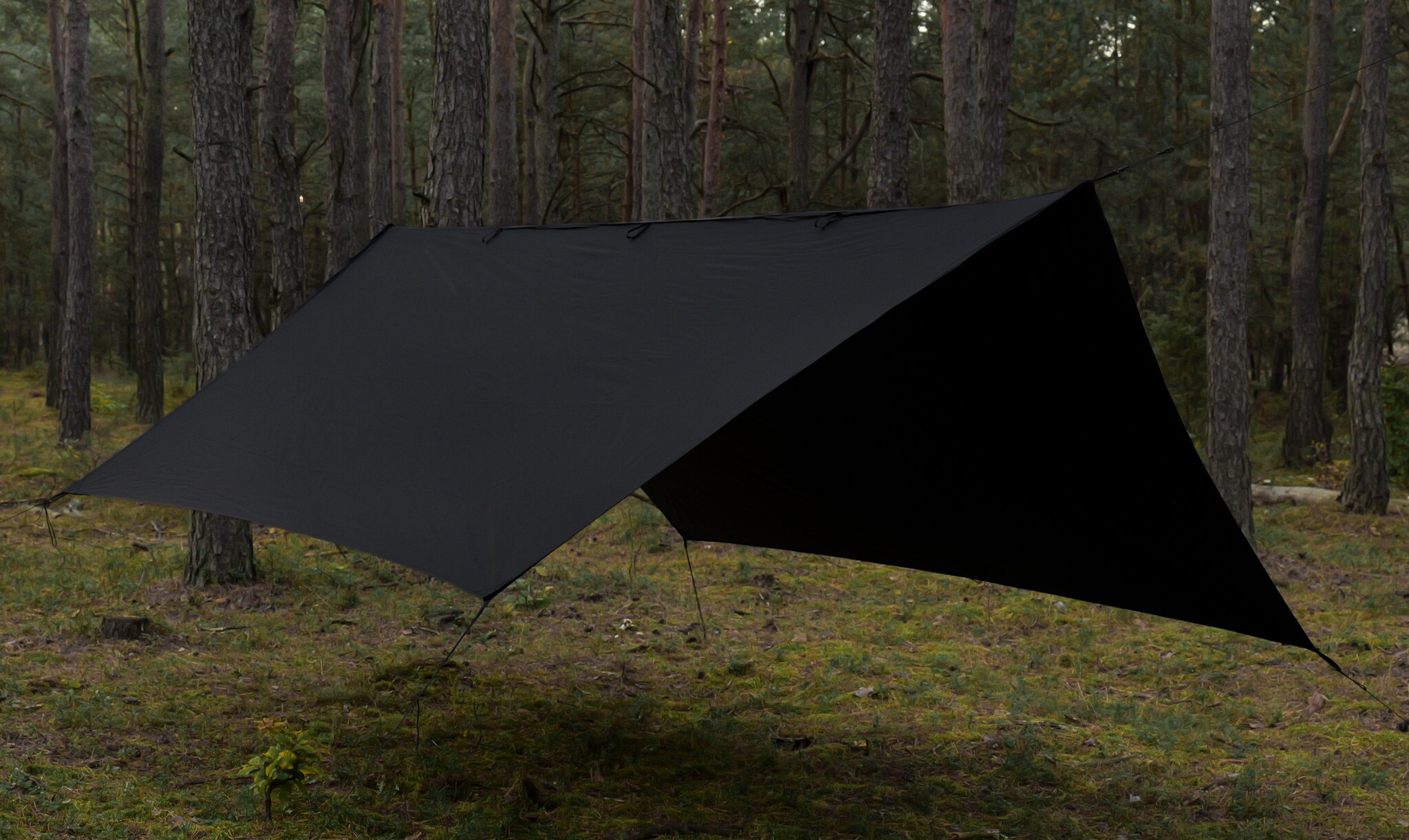 TigerWood Termo Tarp T2 StingRay túraponyva 3,6 x 2,8 m - Black