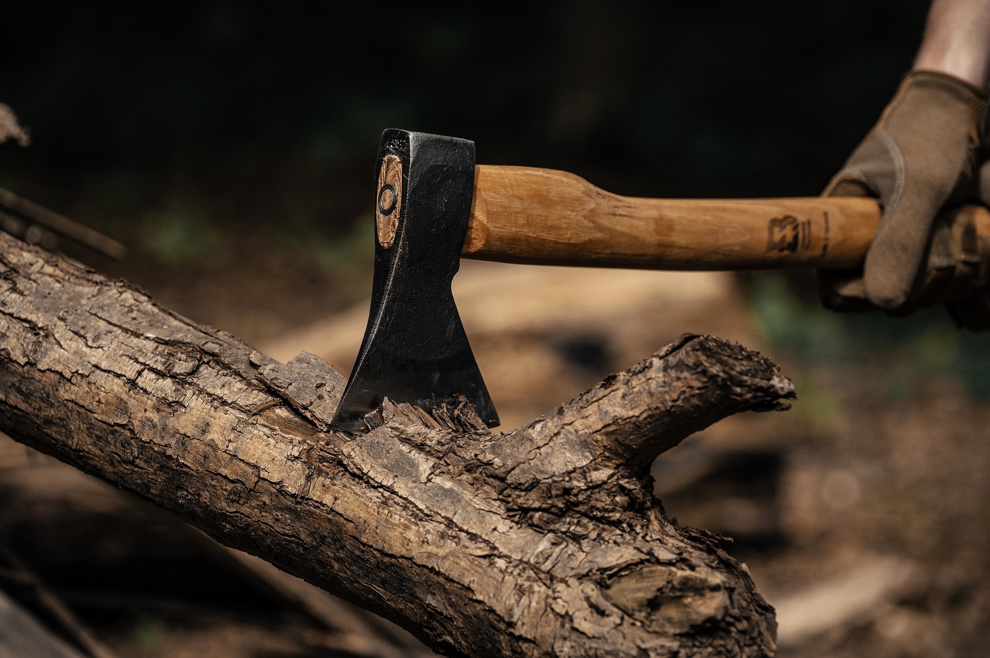 Badger Outdoor Timber fejsze