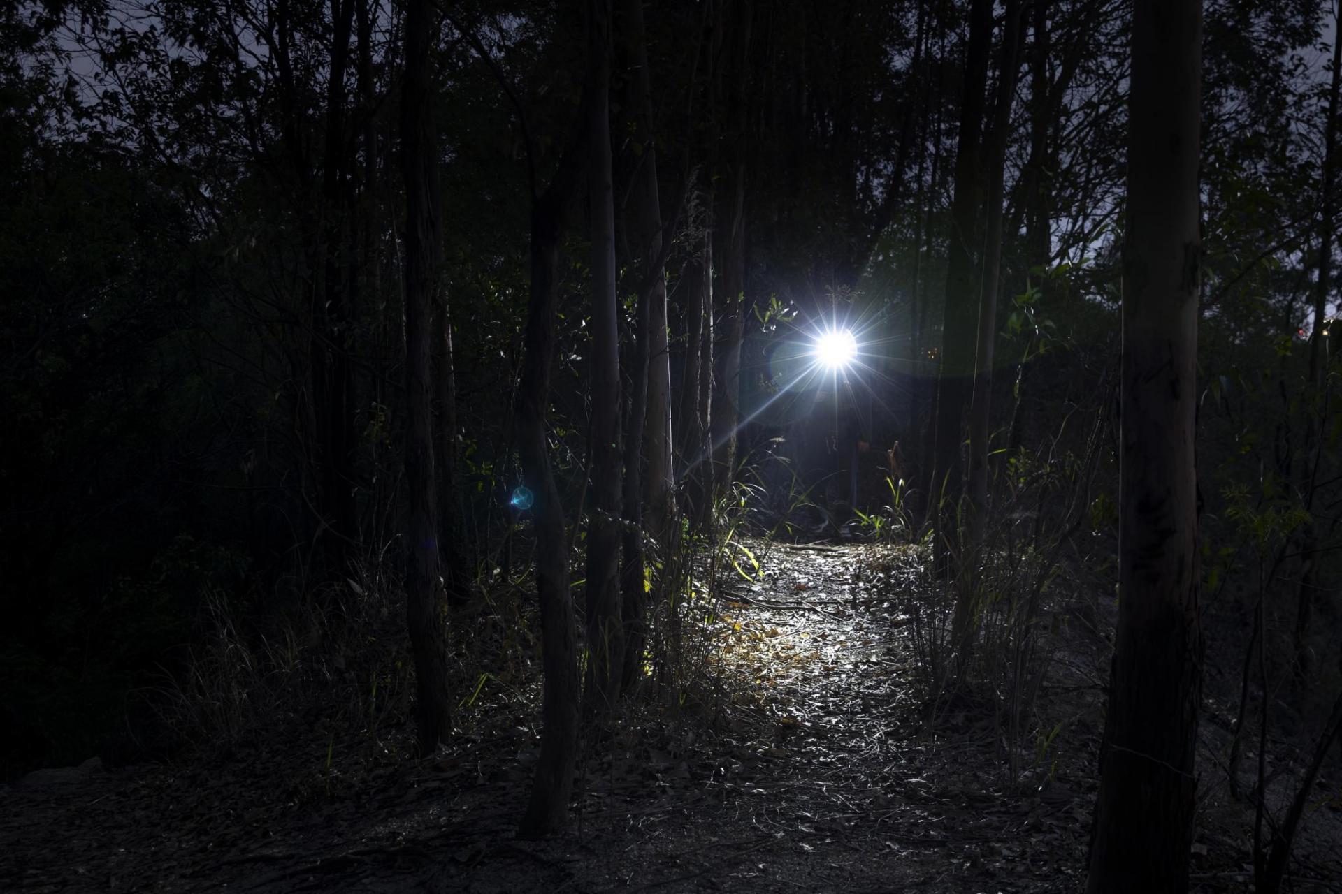 Olight Oclip Pro újratölthető zseblámpa Purple - 500 lumen