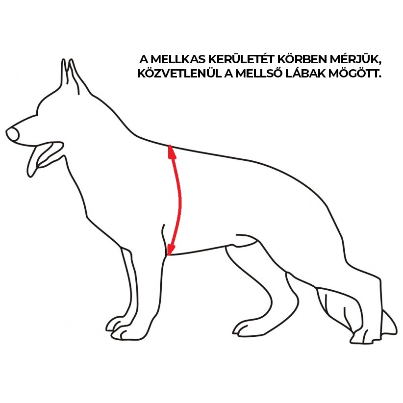 K9 Thorn Charlie kutyahám - Black