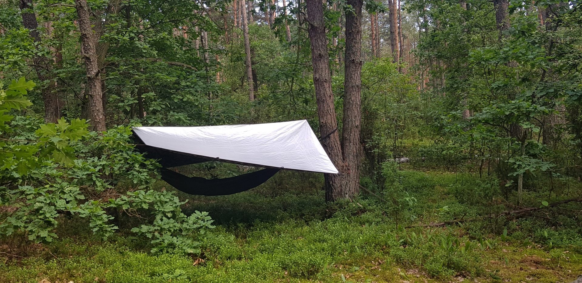 Bushmen Thermo Tarp hőszigetelt túraponyva 3 x 3 m - Olive