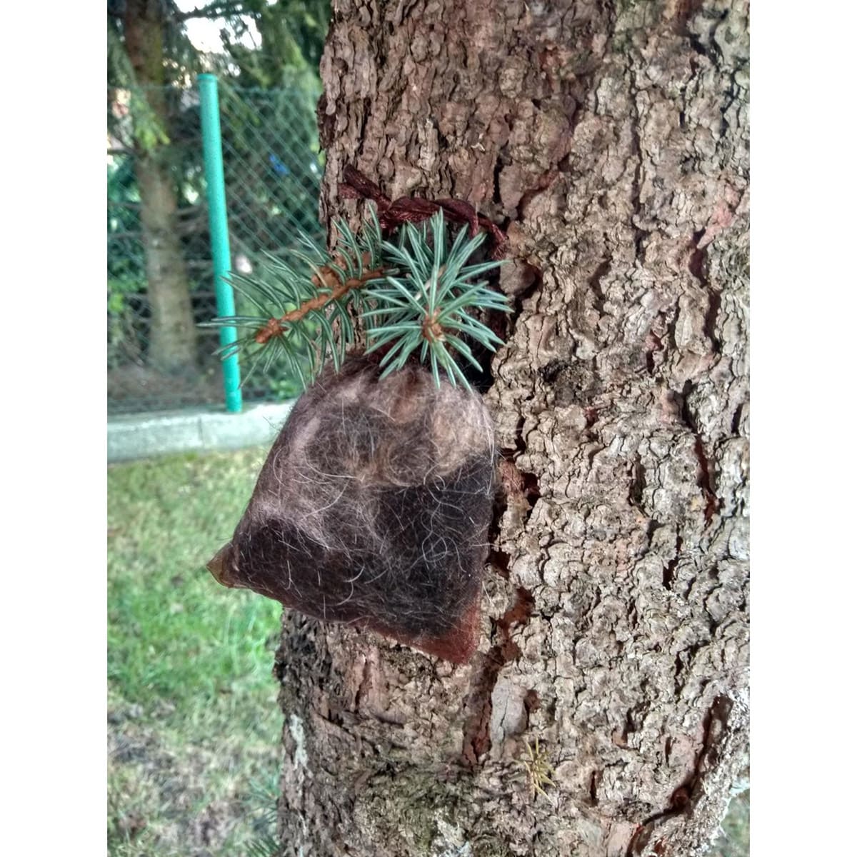 Kunagone vaddisznó riasztó