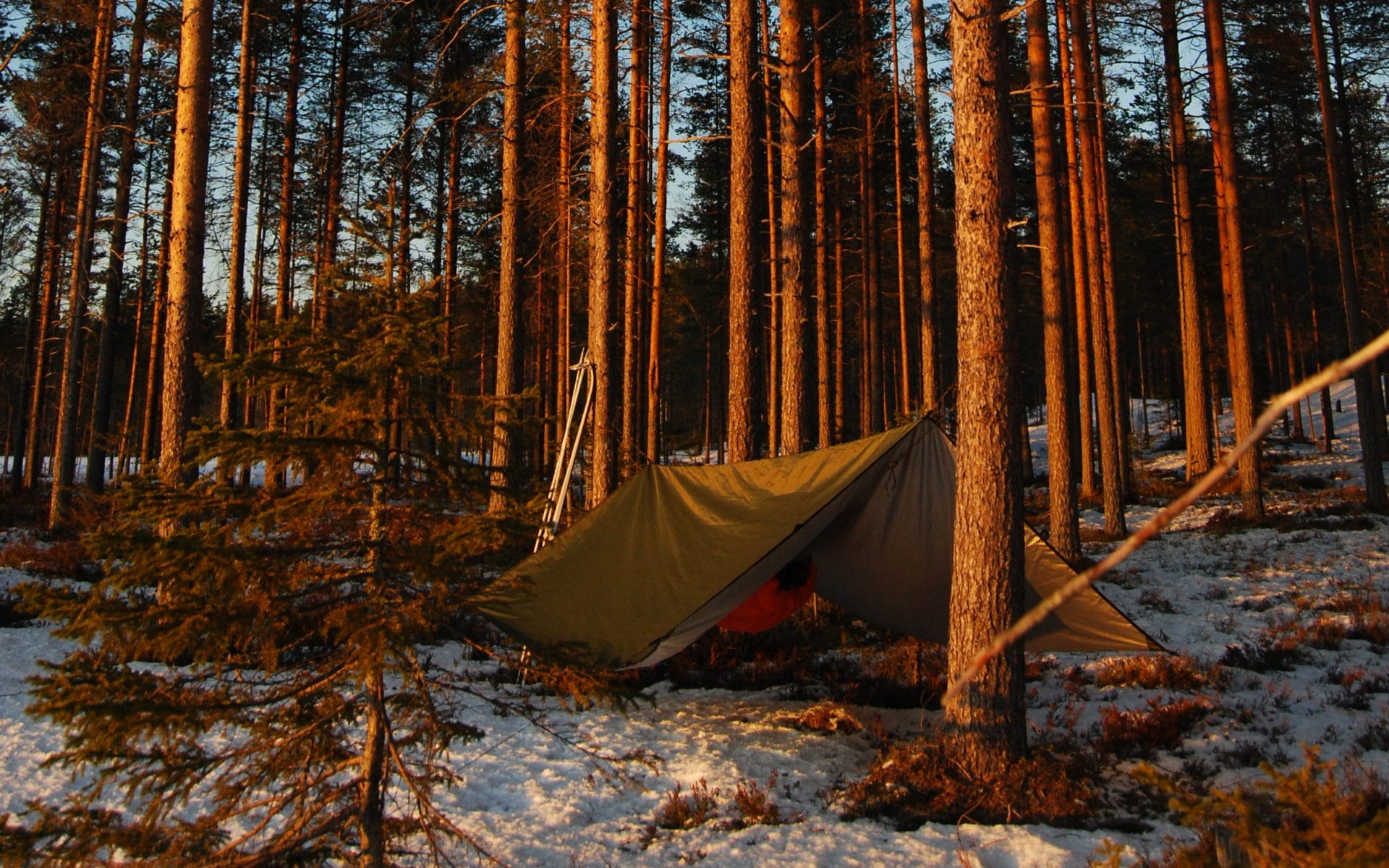Bushmen Thermo Tarp hőszigetelt túraponyva 4x3