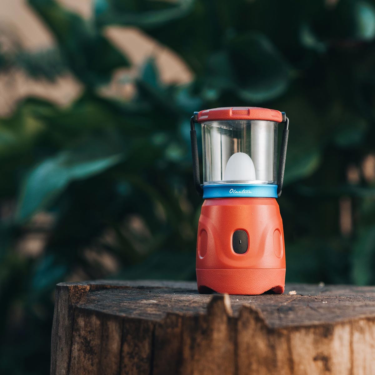 Olight Olantern kempinglámpa Wine Red - 360 lumen