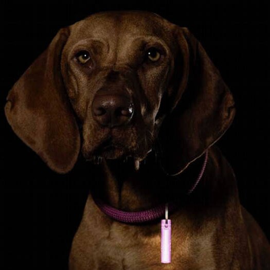 Ni-Glo Gear Marker kulcstartó - Sour Lemon