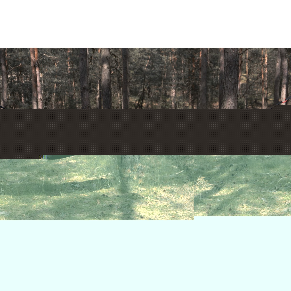 TigerWood Szitakötő V1 függőágy szúnyoghálóval - Green