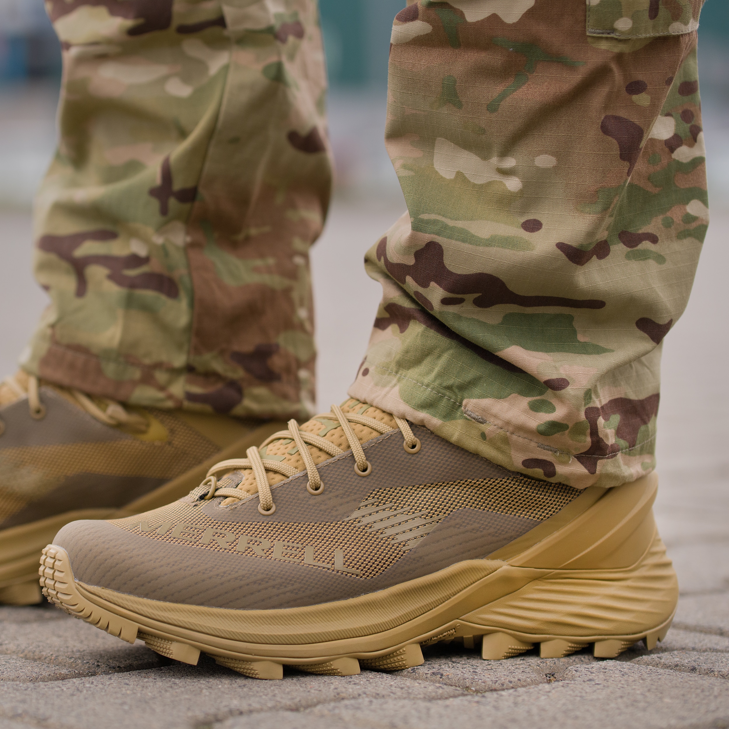 Merrell Rogue GTX 8'' Tactical bakancs - Dark Coyote