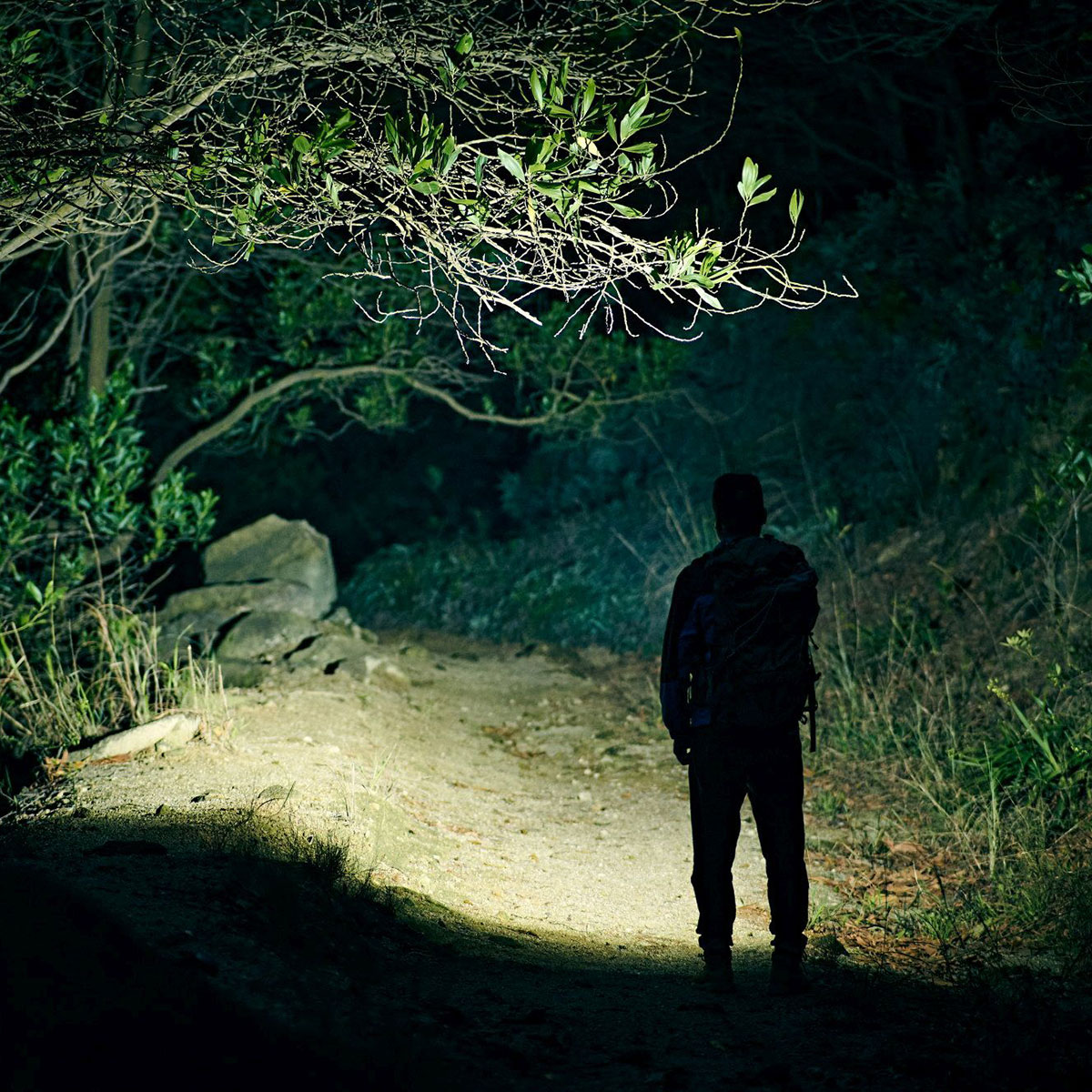 Olight Baton 3 Pro Max Cool White újratölthető zseblámpa Orange - 2500 lumen