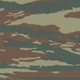 Greek Lizard camouflage