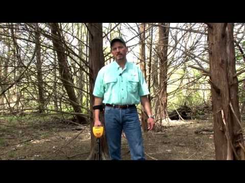 Garrett ACE 300i Metal Detector