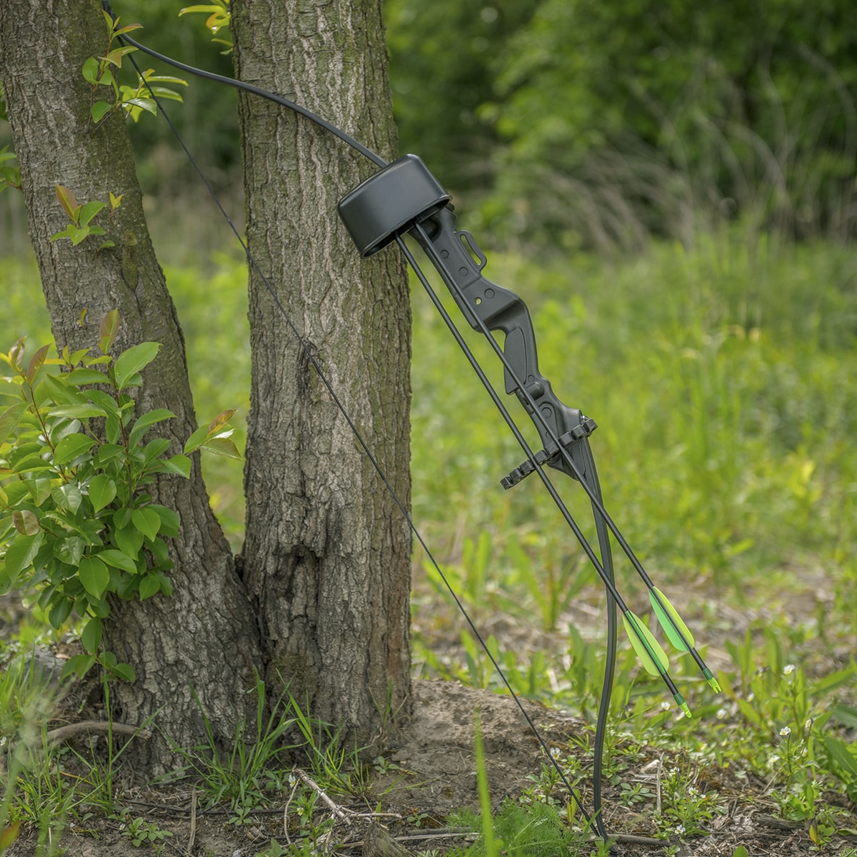 CenterPoint Sentinel Classic Bow - Set