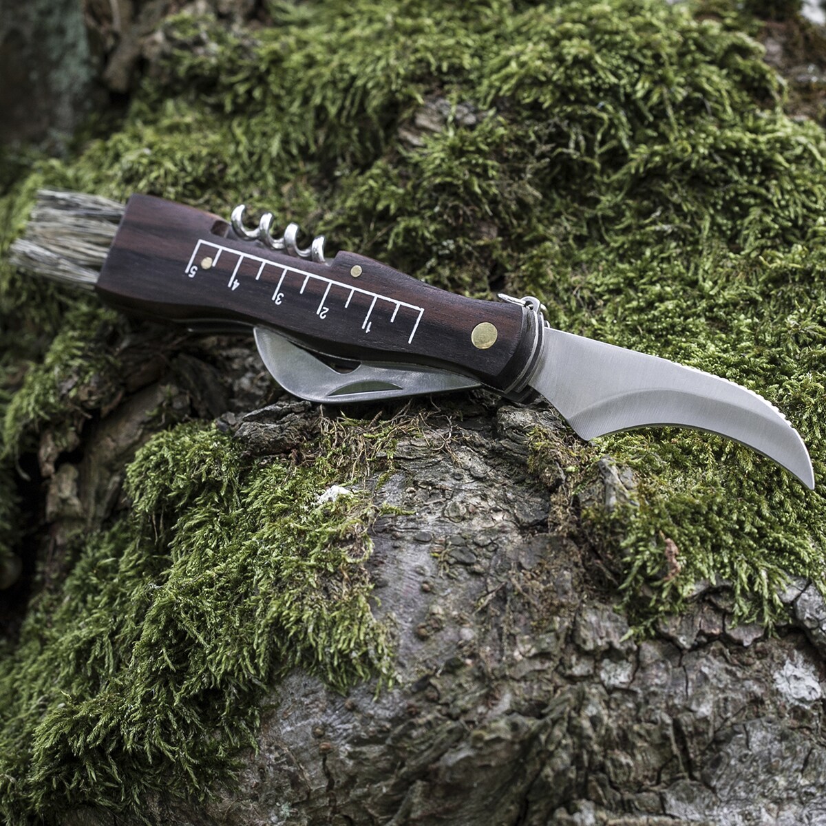 Joker Folding Mushroom Picking Knife
