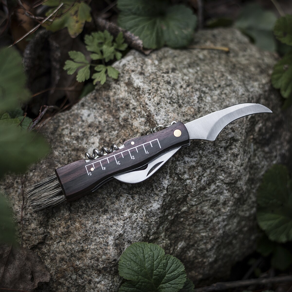 Joker Folding Mushroom Picking Knife