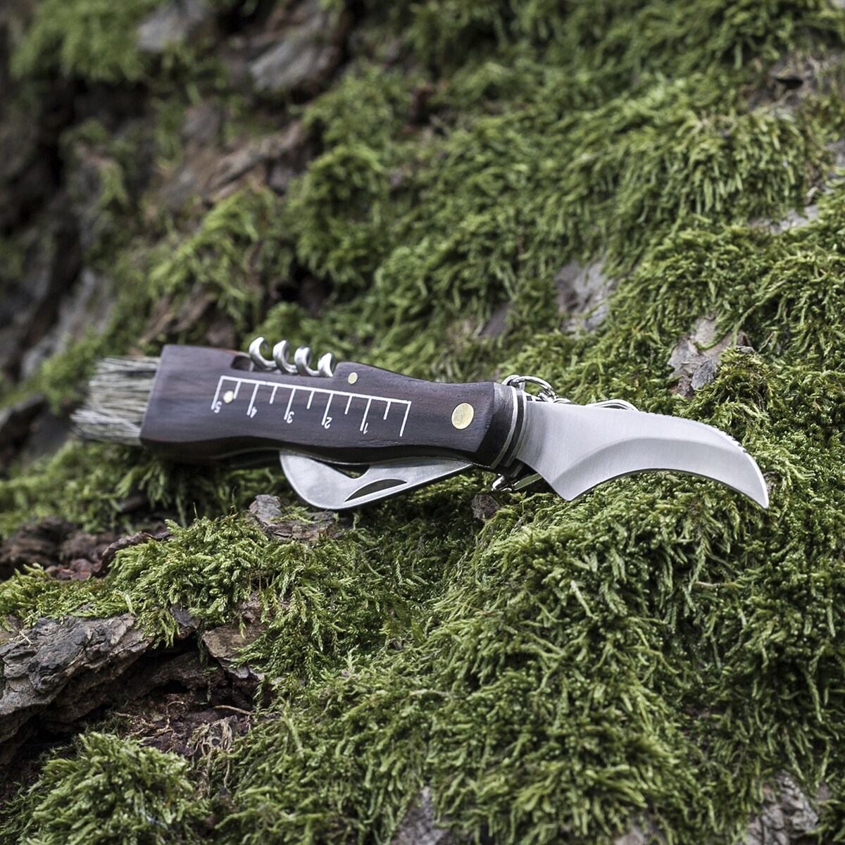 Joker Folding Mushroom Picking Knife